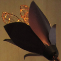 Fleur du mal - 2013